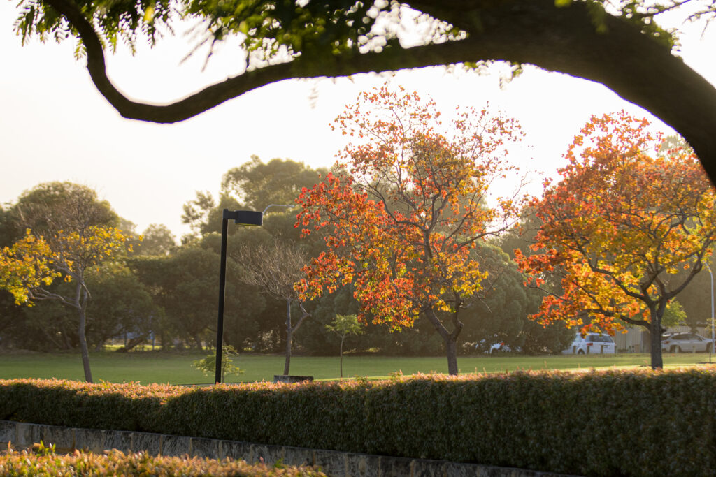 St Stephen's School Carramar campus